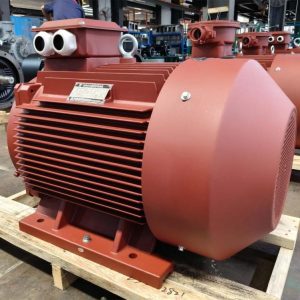 YE4 three-phase asynchronous motor.