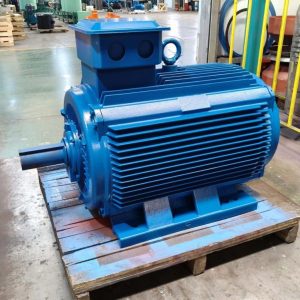 YE4 three-phase asynchronous motor.
